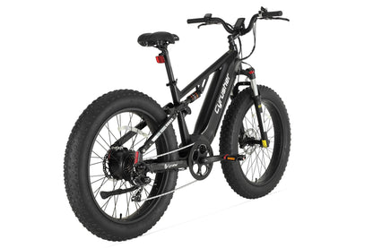 Rover, All-Terrain Ebike