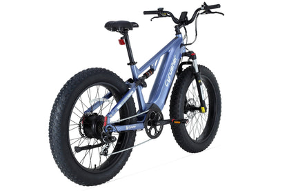 Rover, All-Terrain Ebike