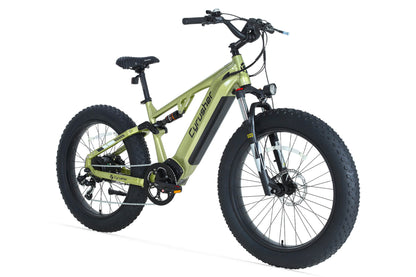 Rover, All-Terrain Ebike