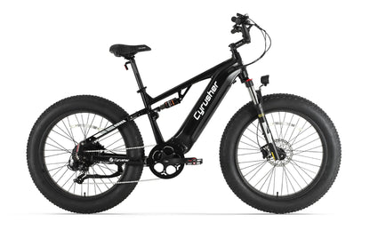 Rover, All-Terrain Ebike