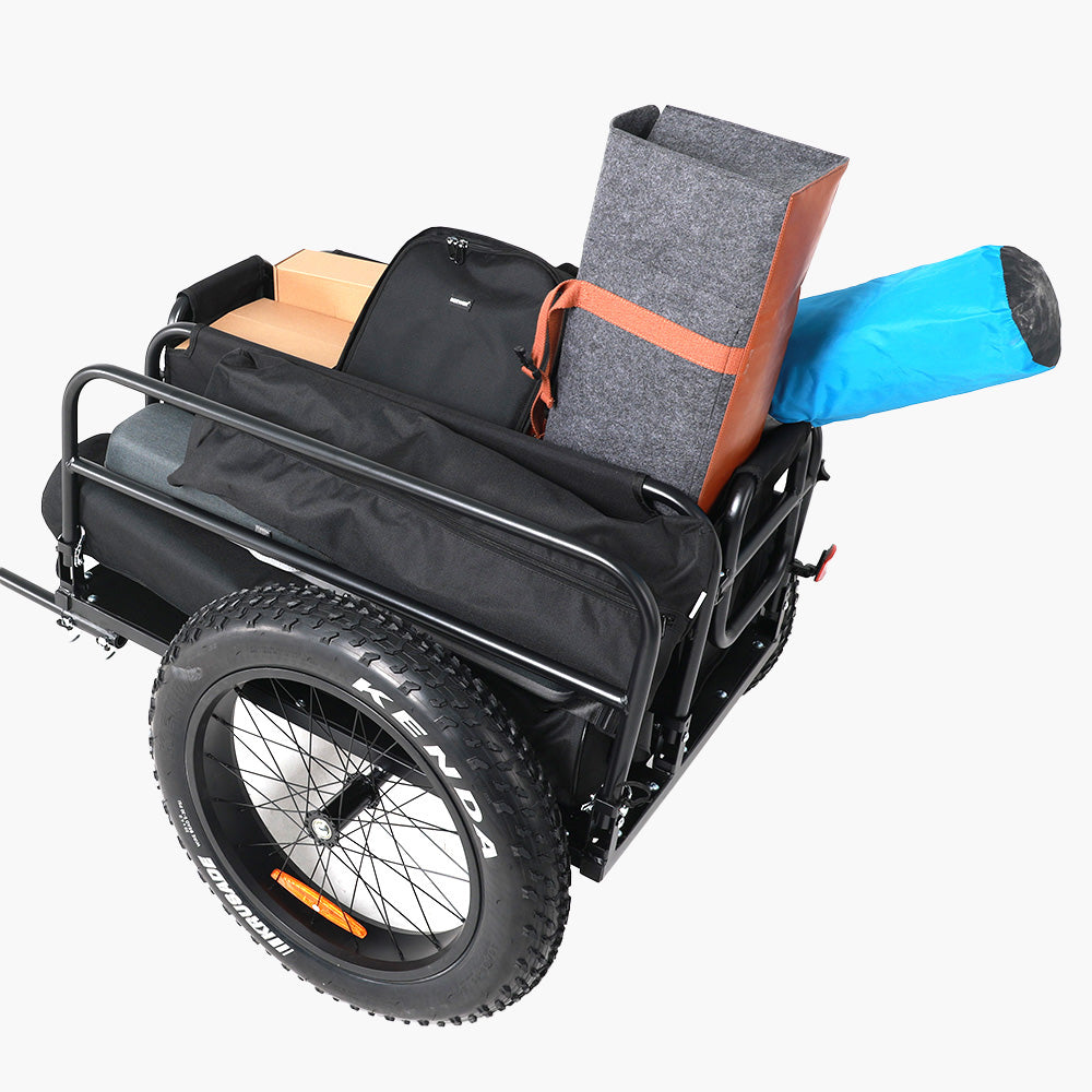 Wheelchair best sale bike trailer