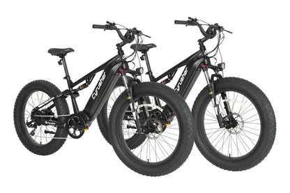 Rover E-Bike Bundle Sale